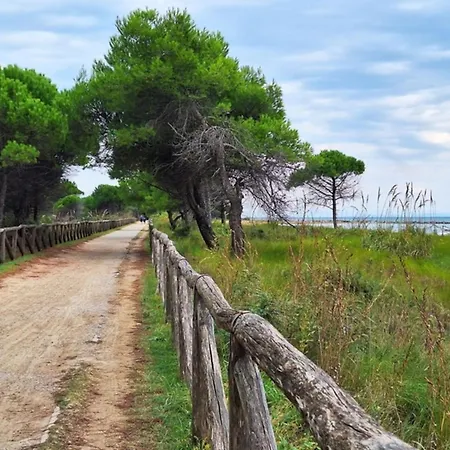 Tiny House With Private Garden Vila